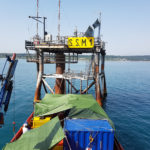 Mv Francesco Guidotti
