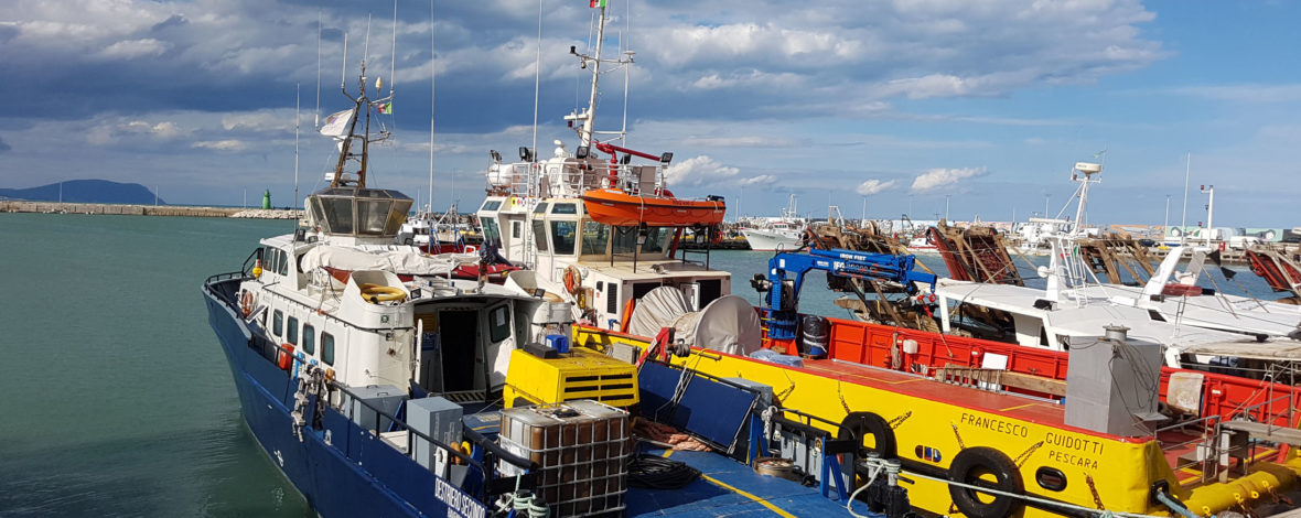 Mv Francesco Guidotti