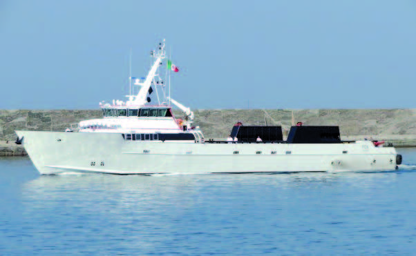 Mv FOX